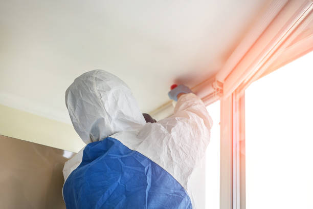 Best Attic Mold Removal  in Hines, OR